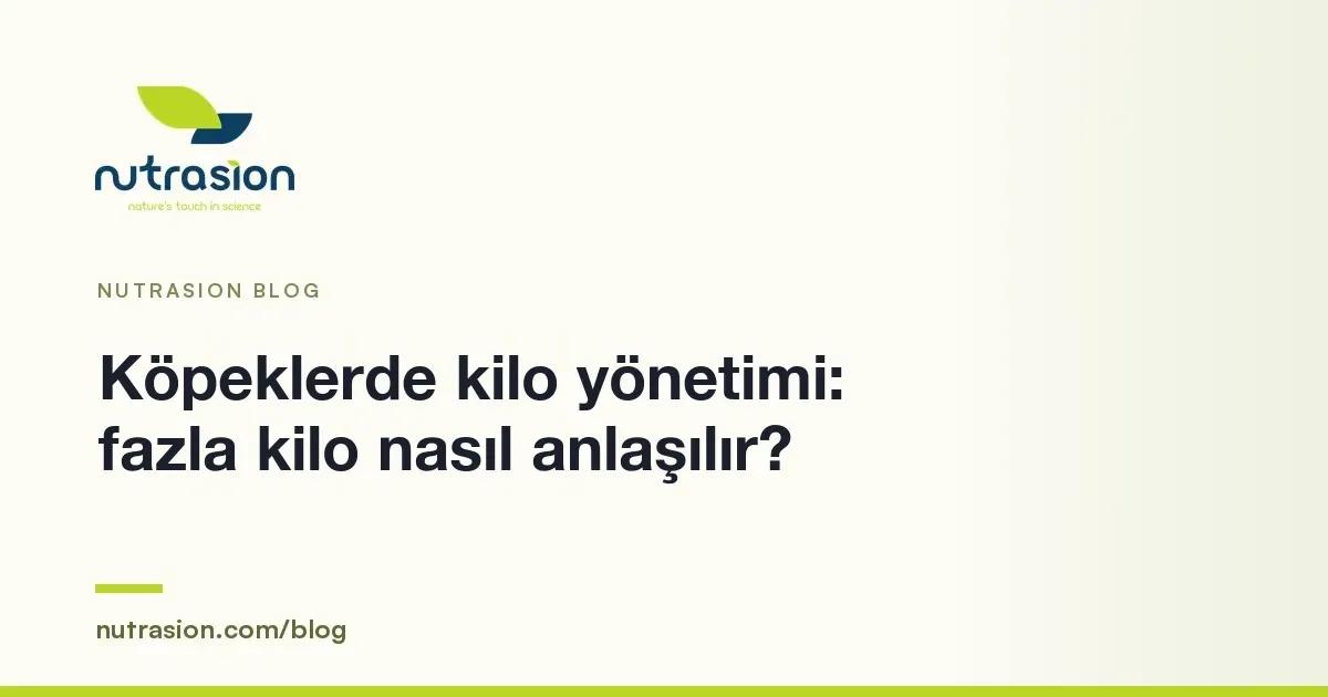 Köpeklerde Kilo Yönetimi: Fazla Kilo Nasıl Anlaşılır, Ne Yapılır?