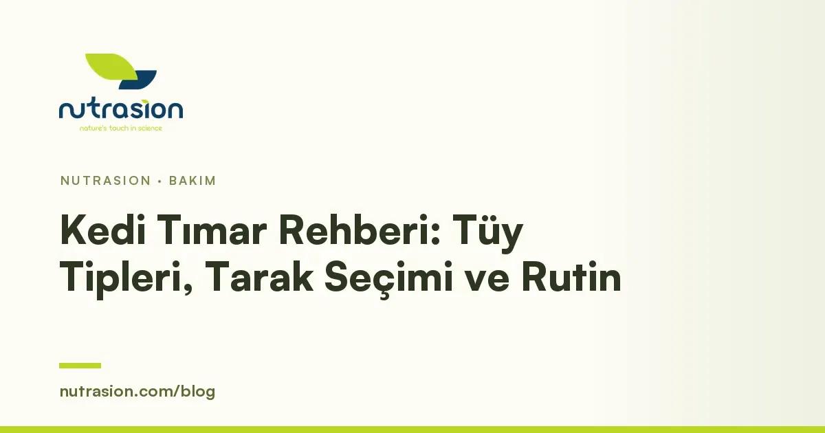 Kedi Tımar Rehberi: Tüy Tipleri, Doğru Tarak Seçimi ve Adım Adım Bakım Rutini