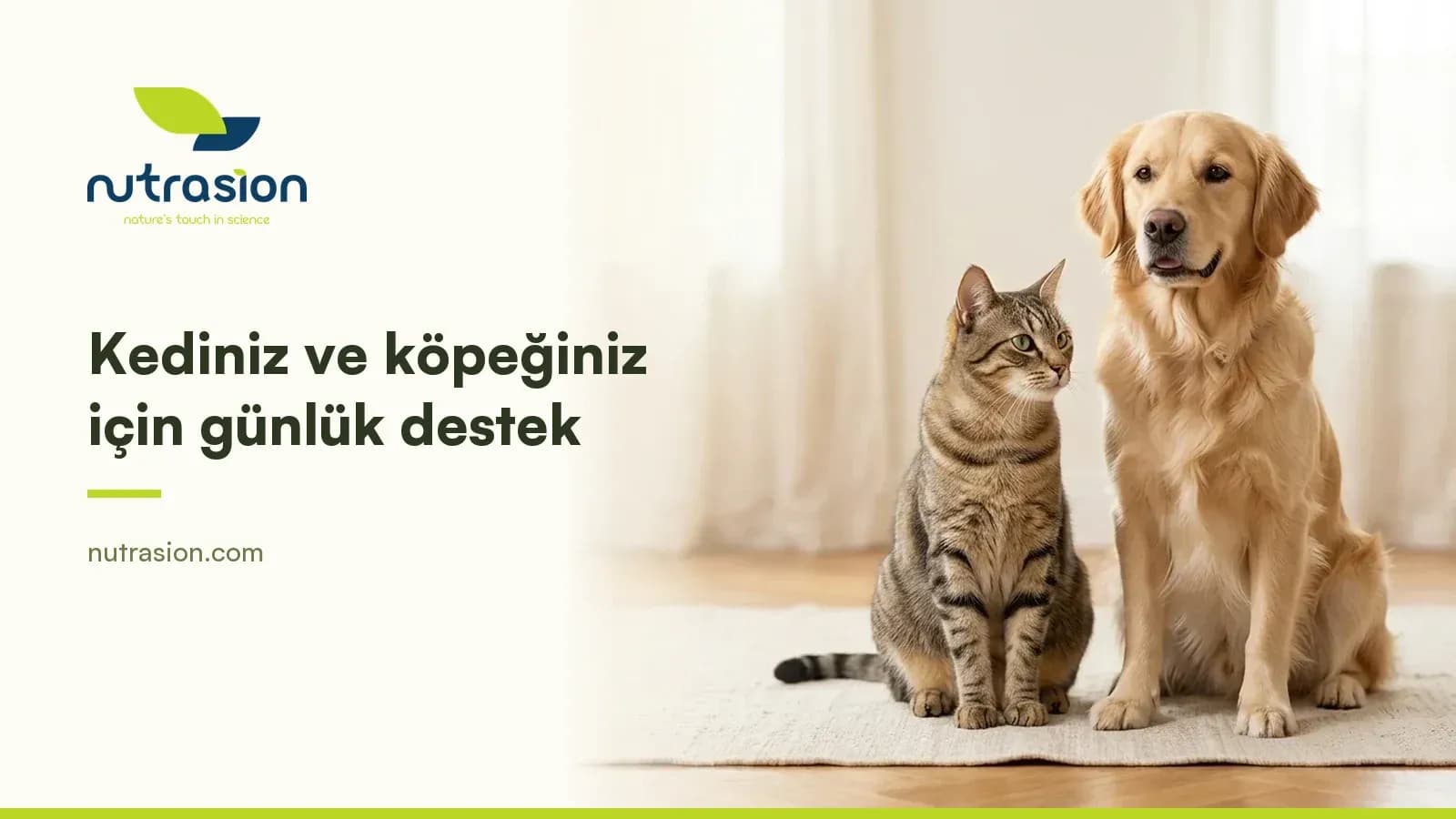 2. Kutuda Kargo Bedava