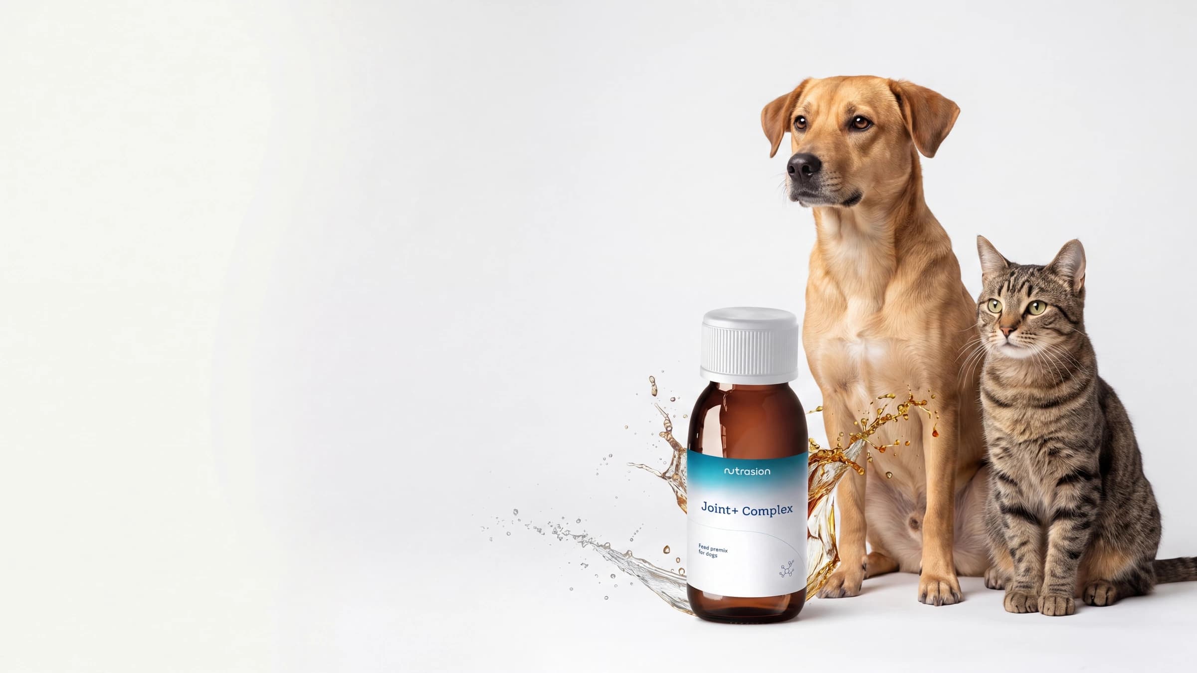 Nutrasion kedi ve köpek takviyeleri ailesi