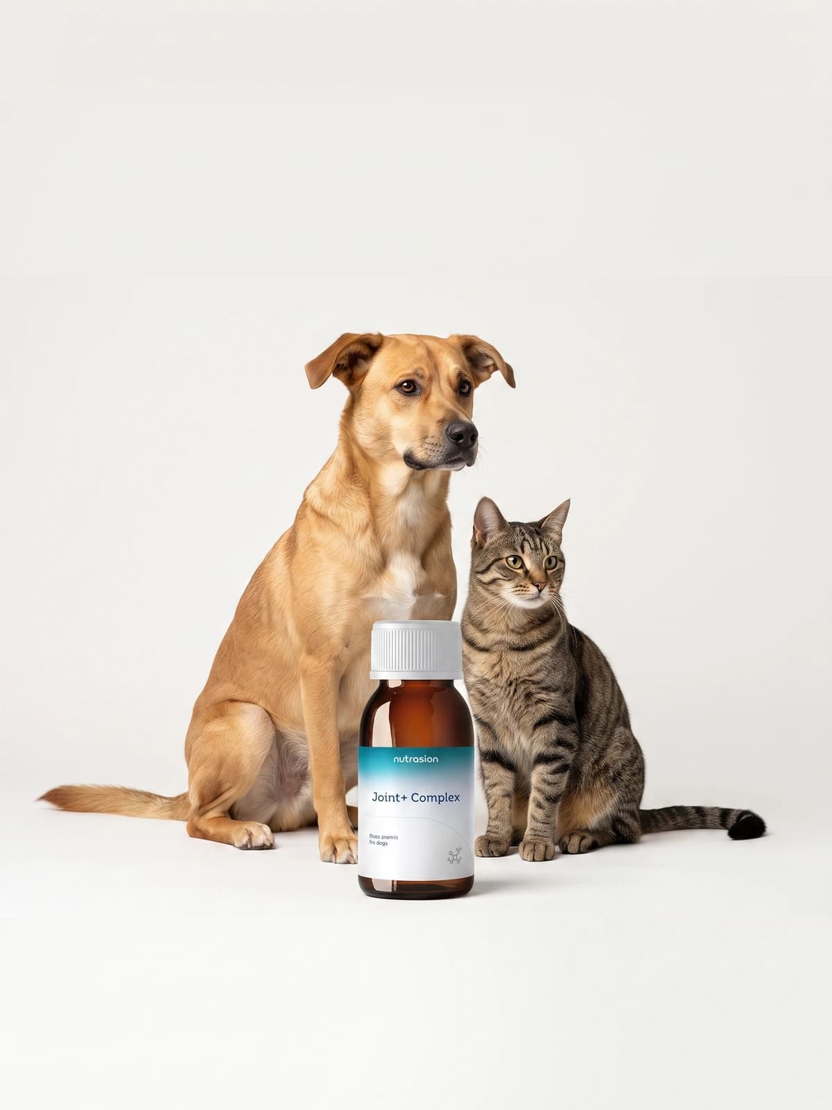 Nutrasion kedi ve köpek takviyeleri ailesi